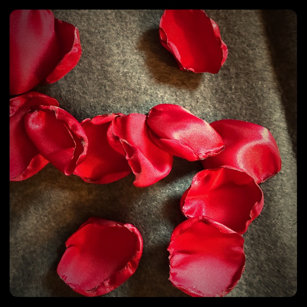 Dark Red Satin Rose Petals
